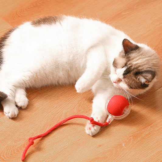 ✨Get 50% off💖🐱🐶Smart Automatic Rolling Pet Ball